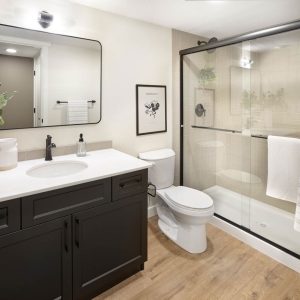 6mm Shower Door | Matte Black | Clear Glass