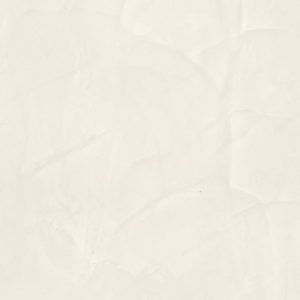 Venetian Plaster | Matte Finish | 026