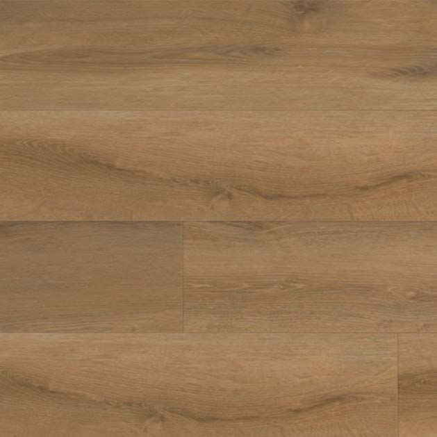 Grand Cru Evolved LVP: Lascombes